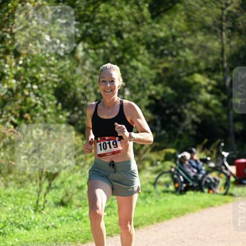 27.09.2026 - 35. Volkslauf durch das schöne Alstertal Dr. Thomas Lammeyer http://msf.ph/oto/10577329 27.09.2026 11:51:59 Laufen 1019 meine-sportfotos.de