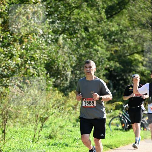 27.09.2026 - 35. Volkslauf durch das schöne Alstertal Dr. Thomas Lammeyer http://msf.ph/oto/10577340 27.09.2026 11:52:12 Laufen 1565 meine-sportfotos.de