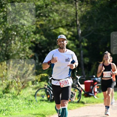 27.09.2026 - 35. Volkslauf durch das schöne Alstertal Dr. Thomas Lammeyer http://msf.ph/oto/10577370 27.09.2026 11:52:31 Laufen 2036 meine-sportfotos.de