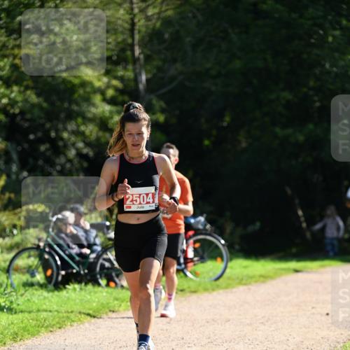 27.09.2026 - 35. Volkslauf durch das schöne Alstertal Dr. Thomas Lammeyer http://msf.ph/oto/10577377 27.09.2026 11:52:33 Laufen 12504 meine-sportfotos.de