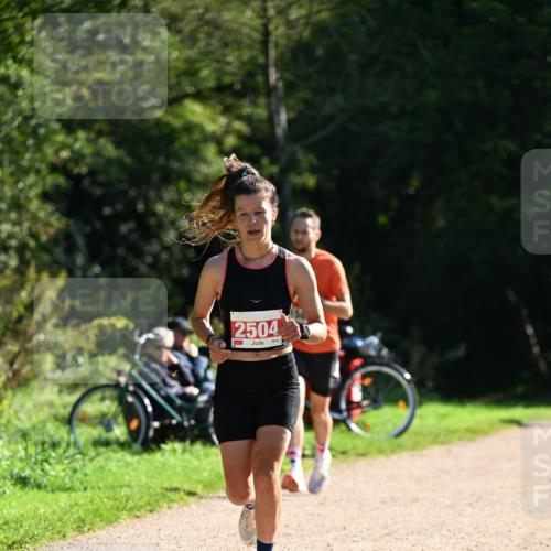 27.09.2026 - 35. Volkslauf durch das schöne Alstertal Dr. Thomas Lammeyer http://msf.ph/oto/10577378 27.09.2026 11:52:33 Laufen 2504 meine-sportfotos.de