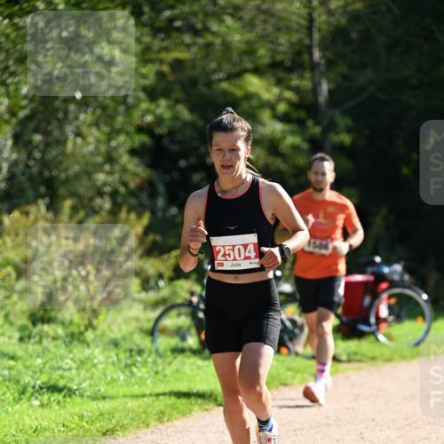 27.09.2026 - 35. Volkslauf durch das schöne Alstertal Dr. Thomas Lammeyer http://msf.ph/oto/10577383 27.09.2026 11:52:33 Laufen 2504 meine-sportfotos.de