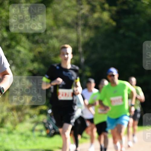 27.09.2026 - 35. Volkslauf durch das schöne Alstertal Dr. Thomas Lammeyer http://msf.ph/oto/10577454 27.09.2026 11:52:59 Laufen  meine-sportfotos.de