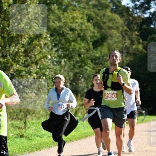 27.09.2026 - 35. Volkslauf durch das schöne Alstertal Dr. Thomas Lammeyer http://msf.ph/oto/10577475 27.09.2026 11:53:02 Laufen 2950 meine-sportfotos.de