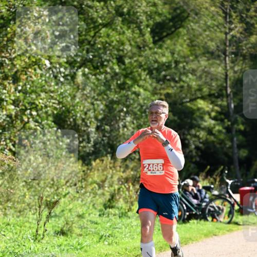 27.09.2026 - 35. Volkslauf durch das schöne Alstertal Dr. Thomas Lammeyer http://msf.ph/oto/10577526 27.09.2026 11:53:32 Laufen 2466 meine-sportfotos.de