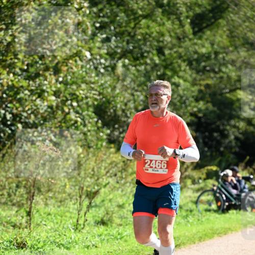 27.09.2026 - 35. Volkslauf durch das schöne Alstertal Dr. Thomas Lammeyer http://msf.ph/oto/10577530 27.09.2026 11:53:33 Laufen 2466 meine-sportfotos.de