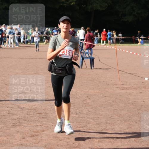 27.09.2026 - 35. Volkslauf durch das schöne Alstertal Strokosch-Dieckow http://msf.ph/oto/10577554 27.09.2026 12:32:16 Ziel 1087, 2008, 2388 meine-sportfotos.de