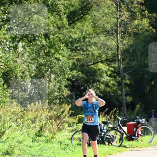 27.09.2026 - 35. Volkslauf durch das schöne Alstertal Dr. Thomas Lammeyer http://msf.ph/oto/10577603 27.09.2026 11:54:29 Laufen 1022 meine-sportfotos.de