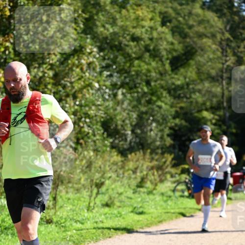 27.09.2026 - 35. Volkslauf durch das schöne Alstertal Dr. Thomas Lammeyer http://msf.ph/oto/10577654 27.09.2026 11:54:43 Laufen  meine-sportfotos.de