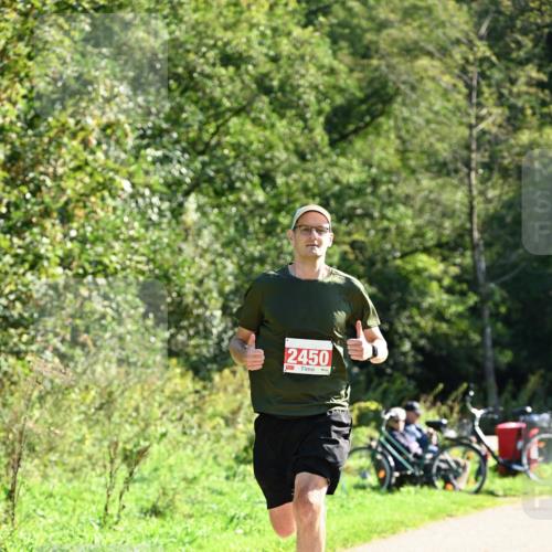 27.09.2026 - 35. Volkslauf durch das schöne Alstertal Dr. Thomas Lammeyer http://msf.ph/oto/10577690 27.09.2026 11:54:59 Laufen 2450 meine-sportfotos.de