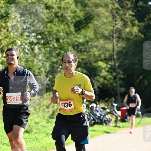 27.09.2026 - 35. Volkslauf durch das schöne Alstertal Dr. Thomas Lammeyer http://msf.ph/oto/10577753 27.09.2026 11:55:12 Laufen 2478, 336 meine-sportfotos.de