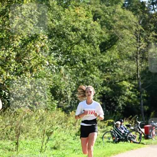 27.09.2026 - 35. Volkslauf durch das schöne Alstertal Dr. Thomas Lammeyer http://msf.ph/oto/10577804 27.09.2026 11:55:30 Laufen 977 meine-sportfotos.de