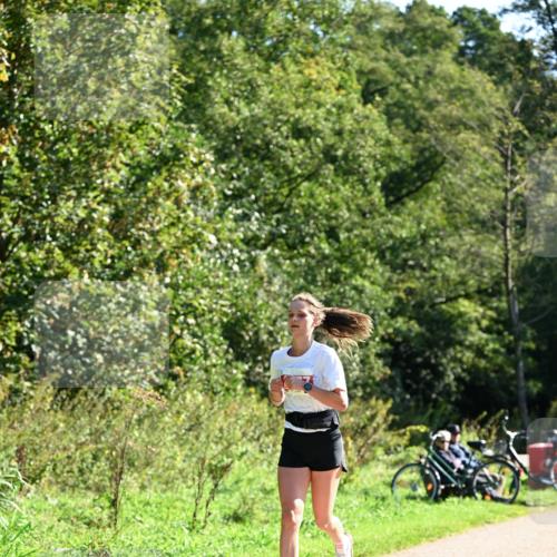 27.09.2026 - 35. Volkslauf durch das schöne Alstertal Dr. Thomas Lammeyer http://msf.ph/oto/10577806 27.09.2026 11:55:30 Laufen  meine-sportfotos.de