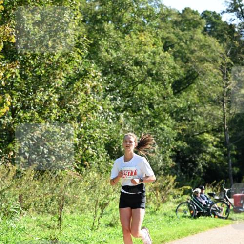 27.09.2026 - 35. Volkslauf durch das schöne Alstertal Dr. Thomas Lammeyer http://msf.ph/oto/10577809 27.09.2026 11:55:30 Laufen 2977 meine-sportfotos.de