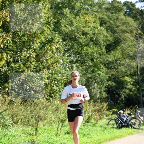 27.09.2026 - 35. Volkslauf durch das schöne Alstertal Dr. Thomas Lammeyer http://msf.ph/oto/10577810 27.09.2026 11:55:31 Laufen 977 meine-sportfotos.de