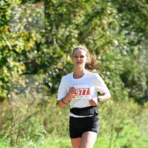 27.09.2026 - 35. Volkslauf durch das schöne Alstertal Dr. Thomas Lammeyer http://msf.ph/oto/10577817 27.09.2026 11:55:31 Laufen 977 meine-sportfotos.de