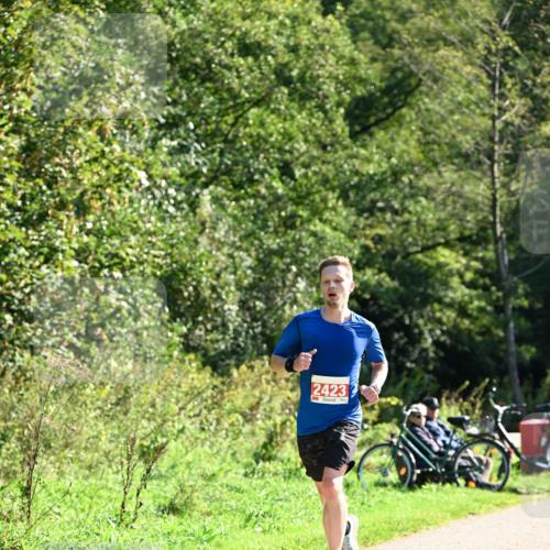 27.09.2026 - 35. Volkslauf durch das schöne Alstertal Dr. Thomas Lammeyer http://msf.ph/oto/10577844 27.09.2026 11:55:47 Laufen 2423 meine-sportfotos.de