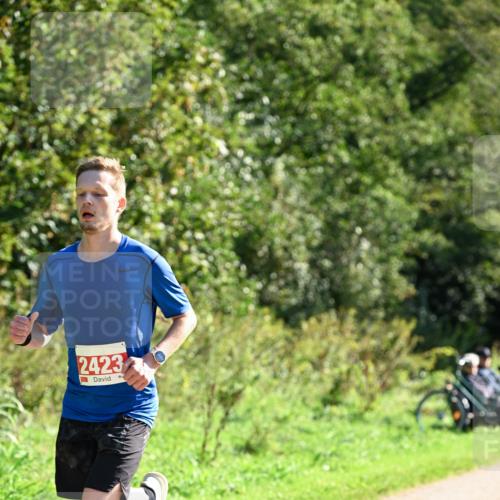 27.09.2026 - 35. Volkslauf durch das schöne Alstertal Dr. Thomas Lammeyer http://msf.ph/oto/10577857 27.09.2026 11:55:48 Laufen 2423 meine-sportfotos.de