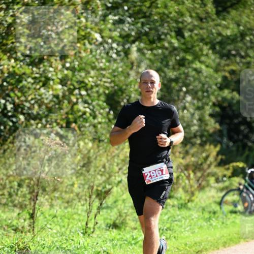 27.09.2026 - 35. Volkslauf durch das schöne Alstertal Dr. Thomas Lammeyer http://msf.ph/oto/10577859 27.09.2026 11:55:57 Laufen 2967 meine-sportfotos.de