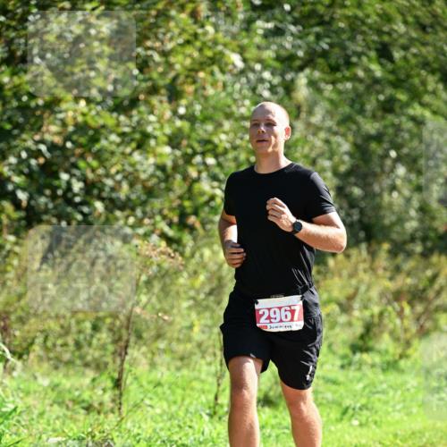 27.09.2026 - 35. Volkslauf durch das schöne Alstertal Dr. Thomas Lammeyer http://msf.ph/oto/10577862 27.09.2026 11:55:57 Laufen 2967 meine-sportfotos.de