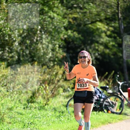 27.09.2026 - 35. Volkslauf durch das schöne Alstertal Dr. Thomas Lammeyer http://msf.ph/oto/10577873 27.09.2026 11:56:22 Laufen 1033 meine-sportfotos.de
