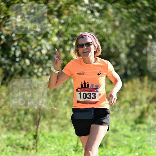 27.09.2026 - 35. Volkslauf durch das schöne Alstertal Dr. Thomas Lammeyer http://msf.ph/oto/10577890 27.09.2026 11:56:24 Laufen 1033 meine-sportfotos.de