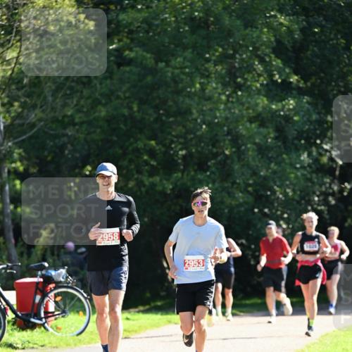 27.09.2026 - 35. Volkslauf durch das schöne Alstertal Dr. Thomas Lammeyer http://msf.ph/oto/10577952 27.09.2026 11:57:16 Laufen 2958, 2953, 1020 meine-sportfotos.de