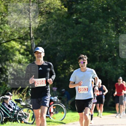 27.09.2026 - 35. Volkslauf durch das schöne Alstertal Dr. Thomas Lammeyer http://msf.ph/oto/10577962 27.09.2026 11:57:17 Laufen 2958, 2953 meine-sportfotos.de