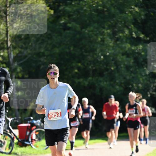 27.09.2026 - 35. Volkslauf durch das schöne Alstertal Dr. Thomas Lammeyer http://msf.ph/oto/10577968 27.09.2026 11:57:17 Laufen 2953 meine-sportfotos.de