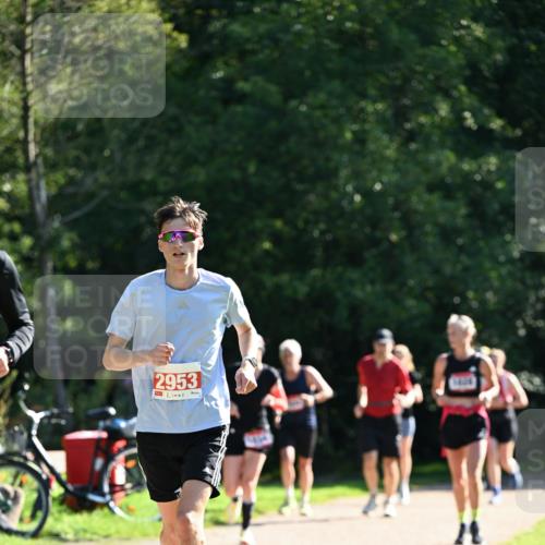27.09.2026 - 35. Volkslauf durch das schöne Alstertal Dr. Thomas Lammeyer http://msf.ph/oto/10577969 27.09.2026 11:57:18 Laufen 2953 meine-sportfotos.de