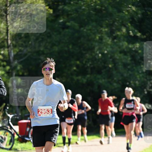 27.09.2026 - 35. Volkslauf durch das schöne Alstertal Dr. Thomas Lammeyer http://msf.ph/oto/10577970 27.09.2026 11:57:18 Laufen 2953, 1827 meine-sportfotos.de