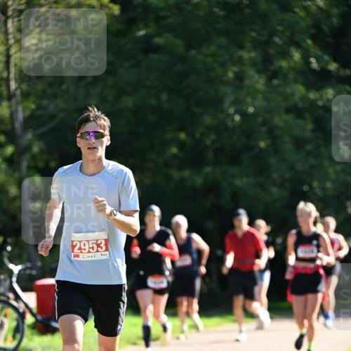27.09.2026 - 35. Volkslauf durch das schöne Alstertal Dr. Thomas Lammeyer http://msf.ph/oto/10577971 27.09.2026 11:57:18 Laufen 2953 meine-sportfotos.de
