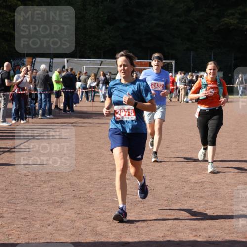 27.09.2026 - 35. Volkslauf durch das schöne Alstertal Strokosch-Dieckow http://msf.ph/oto/10577990 27.09.2026 12:43:35 Ziel 2078, 2337, 2432 meine-sportfotos.de