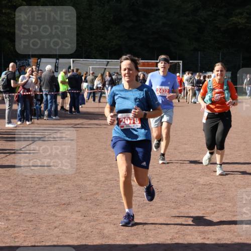27.09.2026 - 35. Volkslauf durch das schöne Alstertal Strokosch-Dieckow http://msf.ph/oto/10577998 27.09.2026 12:43:35 Ziel 2078, 2337, 2432 meine-sportfotos.de