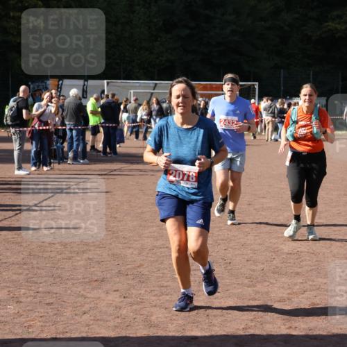 27.09.2026 - 35. Volkslauf durch das schöne Alstertal Strokosch-Dieckow http://msf.ph/oto/10578005 27.09.2026 12:43:35 Ziel 2078, 2337, 2432 meine-sportfotos.de