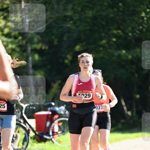 27.09.2026 - 35. Volkslauf durch das schöne Alstertal Dr. Thomas Lammeyer http://msf.ph/oto/10578029 27.09.2026 11:57:25 Laufen 25, 29, 037 meine-sportfotos.de