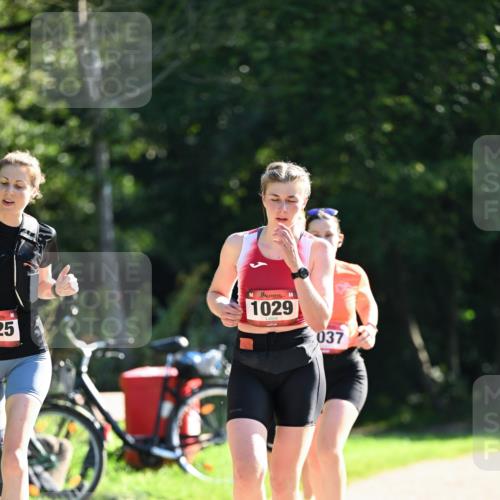 27.09.2026 - 35. Volkslauf durch das schöne Alstertal Dr. Thomas Lammeyer http://msf.ph/oto/10578030 27.09.2026 11:57:25 Laufen 25, 1029, 037 meine-sportfotos.de