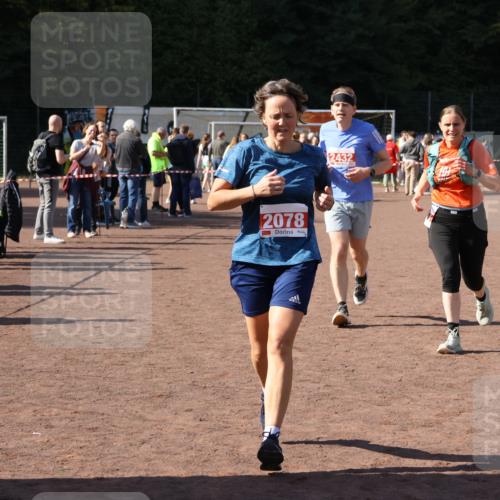 27.09.2026 - 35. Volkslauf durch das schöne Alstertal Strokosch-Dieckow http://msf.ph/oto/10578032 27.09.2026 12:43:35 Ziel 2078, 2337, 2432 meine-sportfotos.de