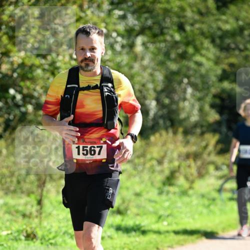 27.09.2026 - 35. Volkslauf durch das schöne Alstertal Dr. Thomas Lammeyer http://msf.ph/oto/10578074 27.09.2026 11:57:49 Laufen 1567 meine-sportfotos.de