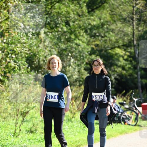 27.09.2026 - 35. Volkslauf durch das schöne Alstertal Dr. Thomas Lammeyer http://msf.ph/oto/10578078 27.09.2026 11:57:51 Laufen 3174, 3404 meine-sportfotos.de