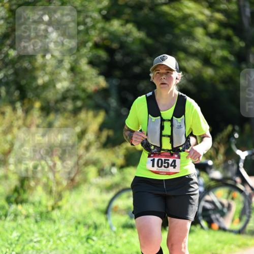 27.09.2026 - 35. Volkslauf durch das schöne Alstertal Dr. Thomas Lammeyer http://msf.ph/oto/10578115 27.09.2026 11:58:29 Laufen 1054 meine-sportfotos.de