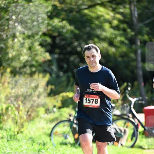 27.09.2026 - 35. Volkslauf durch das schöne Alstertal Dr. Thomas Lammeyer http://msf.ph/oto/10578156 27.09.2026 11:58:57 Laufen 1578 meine-sportfotos.de