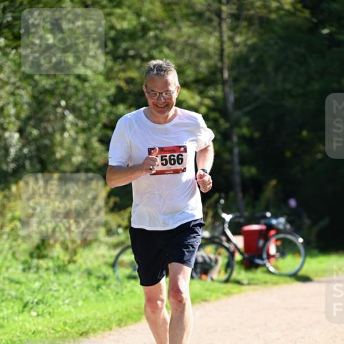 27.09.2026 - 35. Volkslauf durch das schöne Alstertal Dr. Thomas Lammeyer http://msf.ph/oto/10578165 27.09.2026 11:58:59 Laufen 566 meine-sportfotos.de