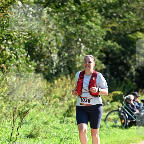 27.09.2026 - 35. Volkslauf durch das schöne Alstertal Dr. Thomas Lammeyer http://msf.ph/oto/10578177 27.09.2026 11:59:15 Laufen 1036 meine-sportfotos.de