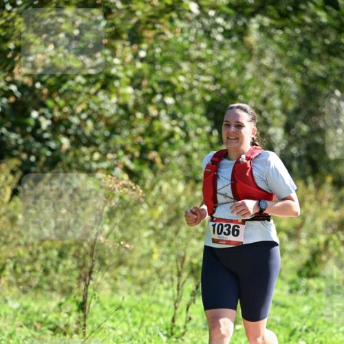 27.09.2026 - 35. Volkslauf durch das schöne Alstertal Dr. Thomas Lammeyer http://msf.ph/oto/10578184 27.09.2026 11:59:16 Laufen 1036 meine-sportfotos.de
