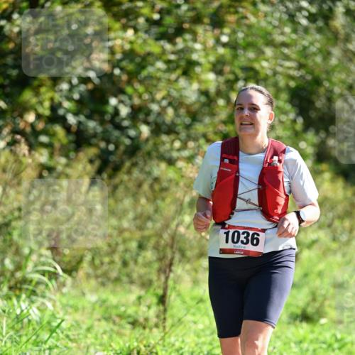 27.09.2026 - 35. Volkslauf durch das schöne Alstertal Dr. Thomas Lammeyer http://msf.ph/oto/10578188 27.09.2026 11:59:17 Laufen 1036 meine-sportfotos.de