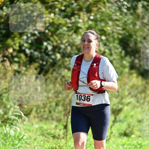27.09.2026 - 35. Volkslauf durch das schöne Alstertal Dr. Thomas Lammeyer http://msf.ph/oto/10578189 27.09.2026 11:59:17 Laufen 1036 meine-sportfotos.de