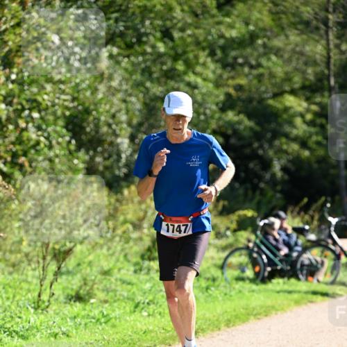 27.09.2026 - 35. Volkslauf durch das schöne Alstertal Dr. Thomas Lammeyer http://msf.ph/oto/10578193 27.09.2026 11:59:34 Laufen 1747 meine-sportfotos.de