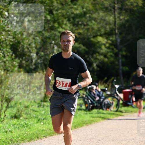 27.09.2026 - 35. Volkslauf durch das schöne Alstertal Dr. Thomas Lammeyer http://msf.ph/oto/10578216 27.09.2026 11:59:40 Laufen 2377 meine-sportfotos.de