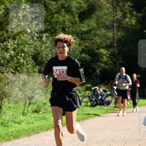 27.09.2026 - 35. Volkslauf durch das schöne Alstertal Dr. Thomas Lammeyer http://msf.ph/oto/10578271 27.09.2026 11:59:50 Laufen 2433 meine-sportfotos.de